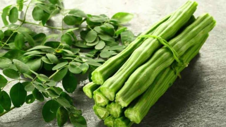 Moringa: Nature’s Multivitamin – A Comprehensive FAQ