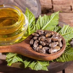 Benefits of using castor oil in winter – Benefits of using castor oil in winter season