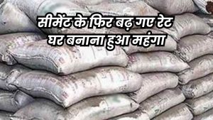 Sariya Cement Rate: कंपनियों ने एक सप्ताह में 30 रुपये बढ़ा दिए सीमेंट के दाम, सरिया 2 हजार रुपये महंगा