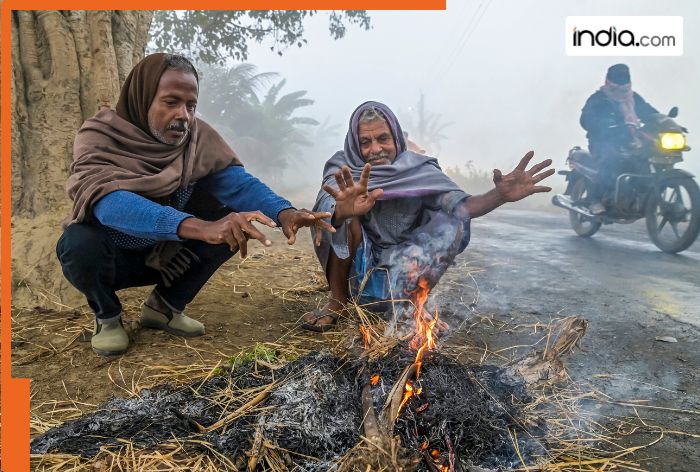 शीत लहर की स्थिति से तापमान इतना कम हो जाएगा..., आईएमडी का पूर्वानुमान देखें