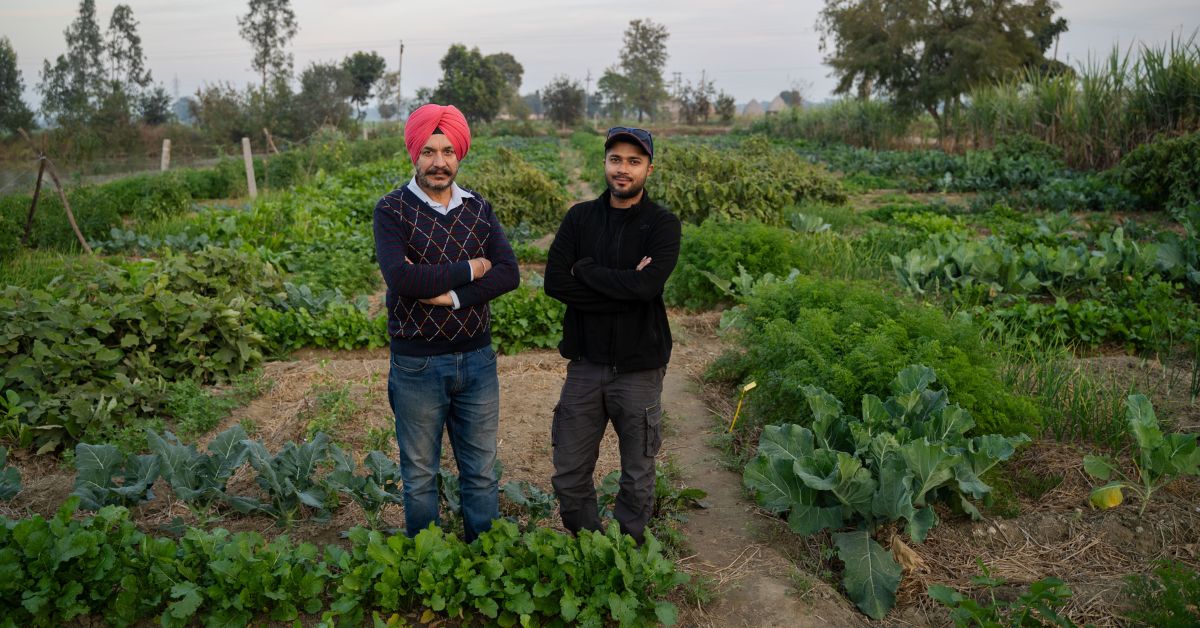 पंजाब के तकनीकी विशेषज्ञ ने शहरी परिवारों को अपना भोजन खुद उगाने में मदद करने के लिए Google की नौकरी छोड़ दी