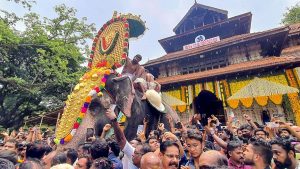 सुप्रीम कोर्ट ने त्रिशूर पूरम, मंदिर उत्सवों के दौरान हाथियों के जुलूस पर केरल उच्च न्यायालय के नियमों पर रोक लगा दी